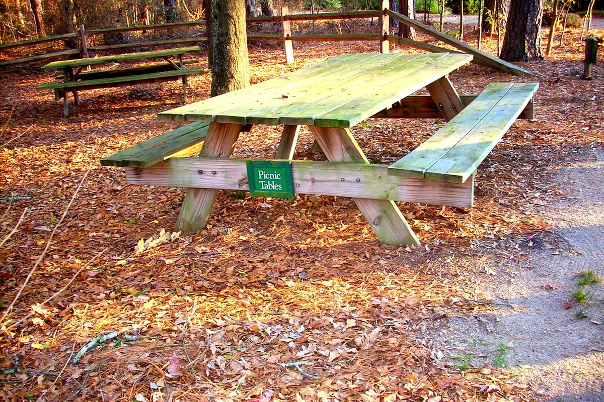 Gardens and woodland paths at Cape Fear Botanical Garden